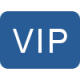 icons8-vip-100